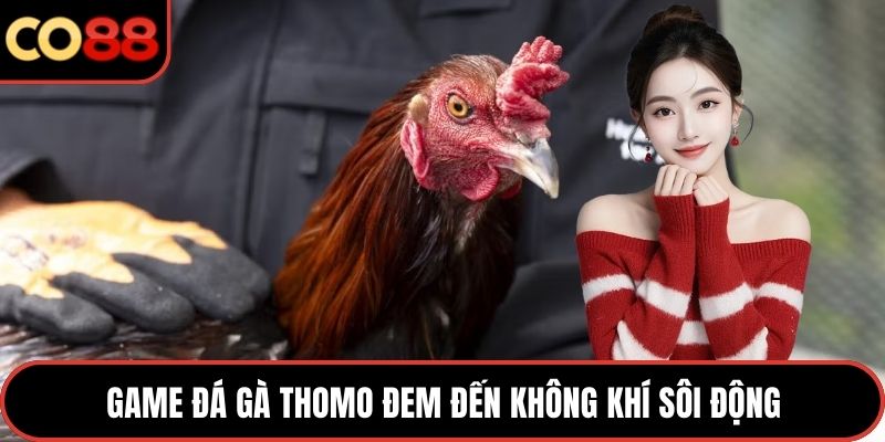 Game đá gà Thomo đem đến không khí sôi động