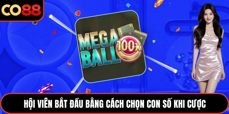 Hội viên bắt đầu bằng cách chọn con số khi cược